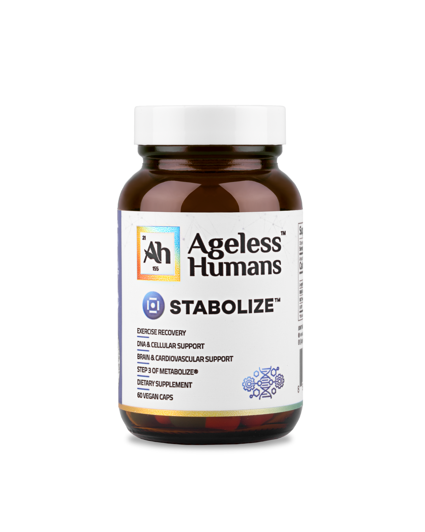 Overnight Metabolic Recovery & Support: Stabolize®